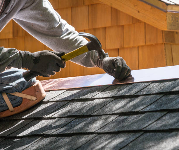 Best Roof Gutter Cleaning  in Mcconnellsburg, PA
